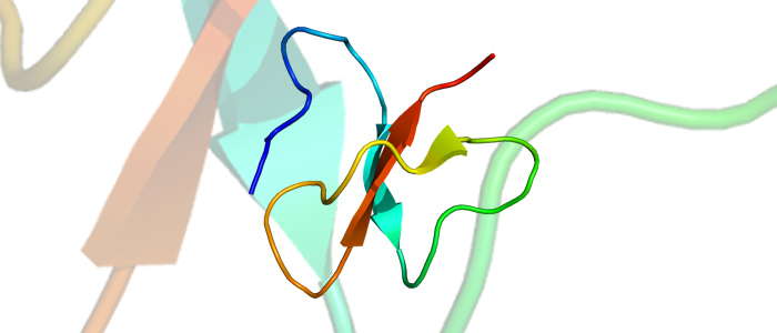 Recombinant Human Beta-defensin 4A Protein, Untagged, E.coli-100ug